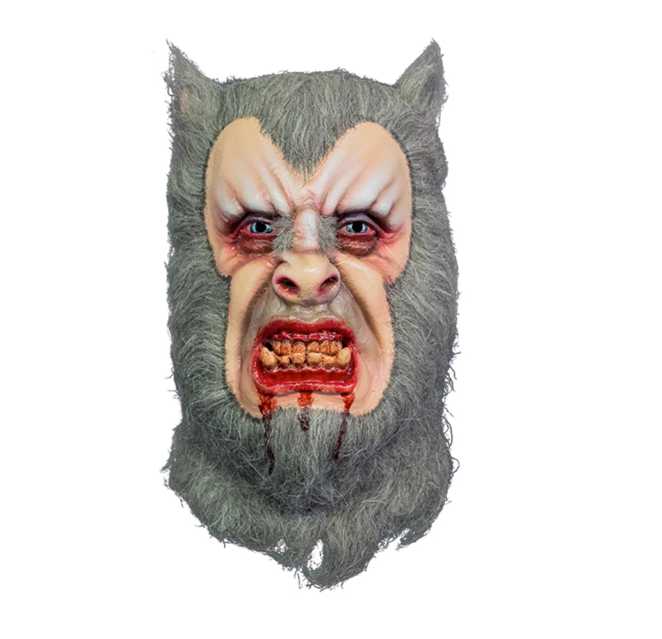 Hammer Horror: Authentic Werewolf Mask from The Curse of The Werewolf Classic