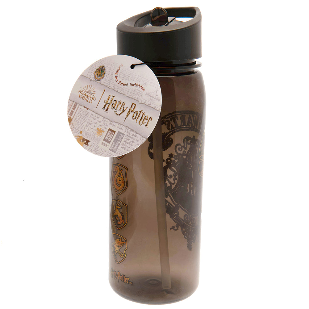 Harry Potter Themed Flip - Top Reusable Everyday Drinks Bottle