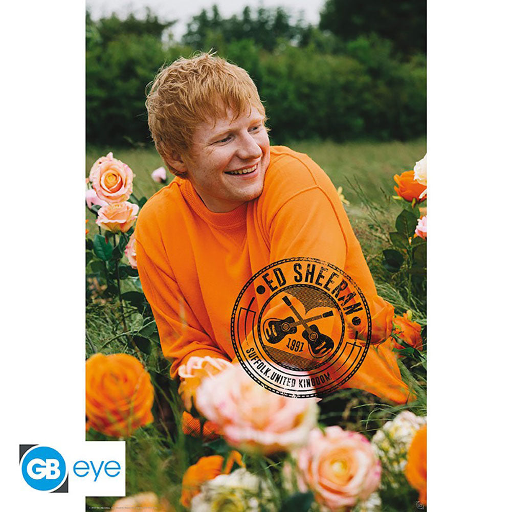 High-Resolution Ed Sheeran Meadow Rolled Maxi Poster