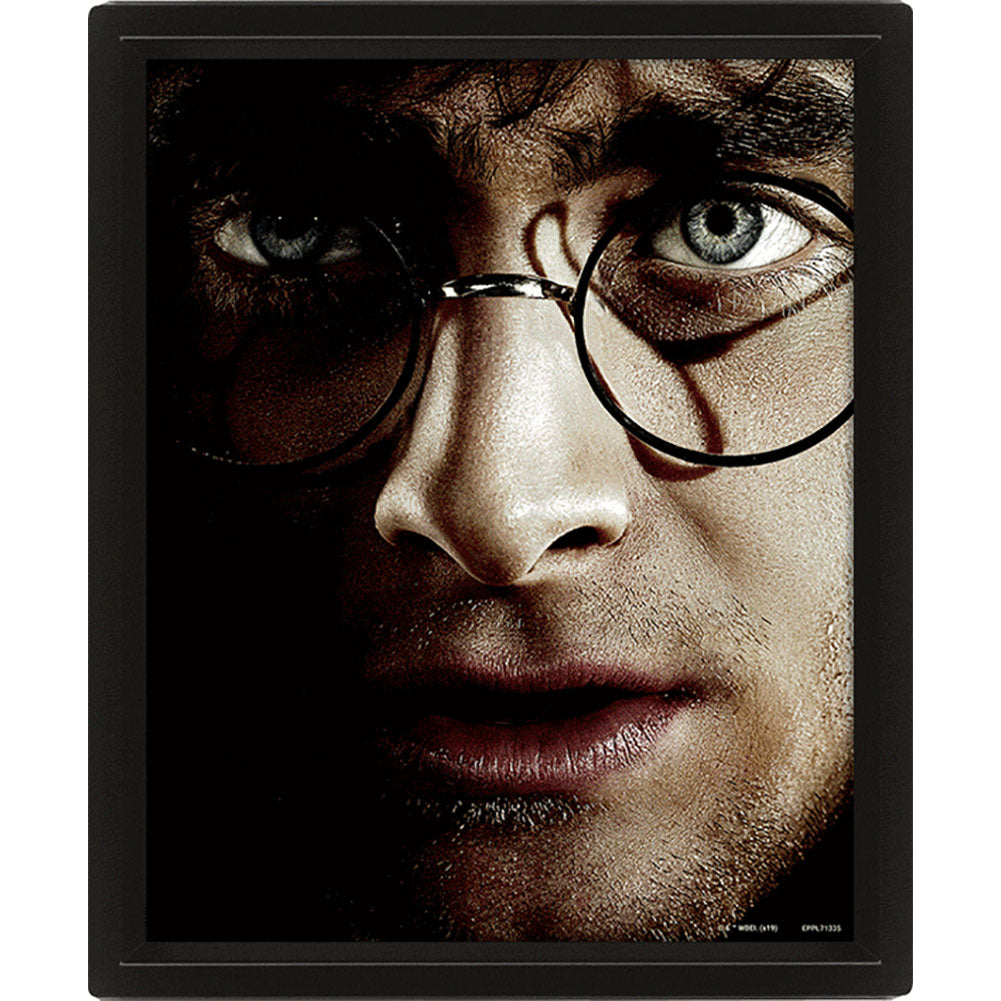 Framed 3D Wall Picture Featuring Harry Potter and Lord Voldemort