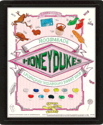 Stylish Framed 3D Harry Potter Honeydukes Moving Picture