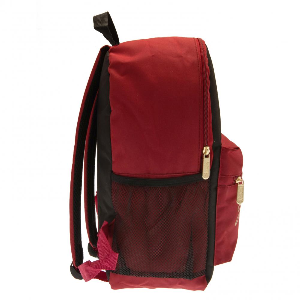 Stylish Harry Potter Hogwarts Classic Black and Burgundy Backpack