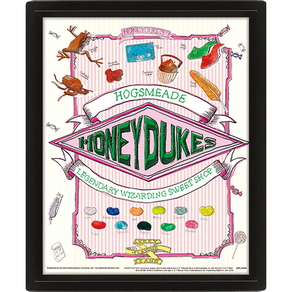 Stylish Framed 3D Harry Potter Honeydukes Moving Picture