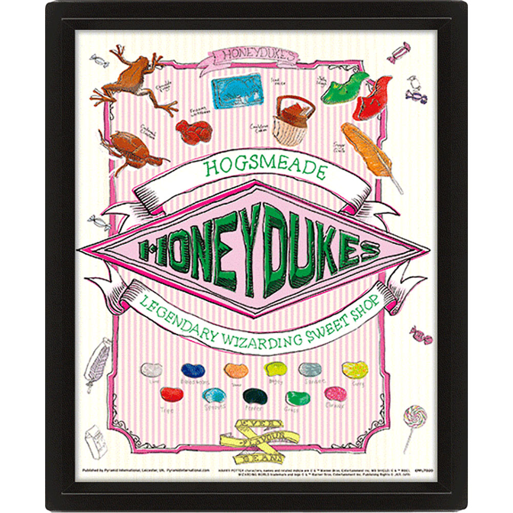 Stylish Framed 3D Harry Potter Honeydukes Moving Picture
