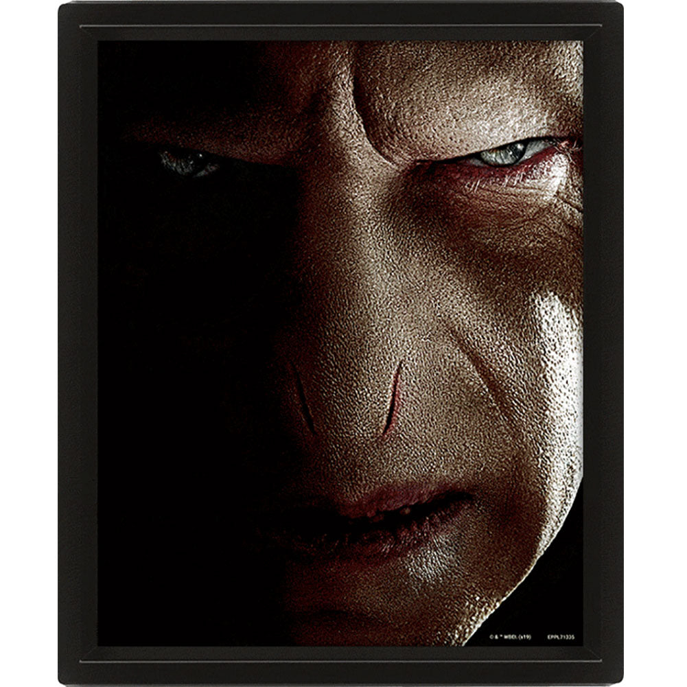 Framed 3D Wall Picture Featuring Harry Potter and Lord Voldemort