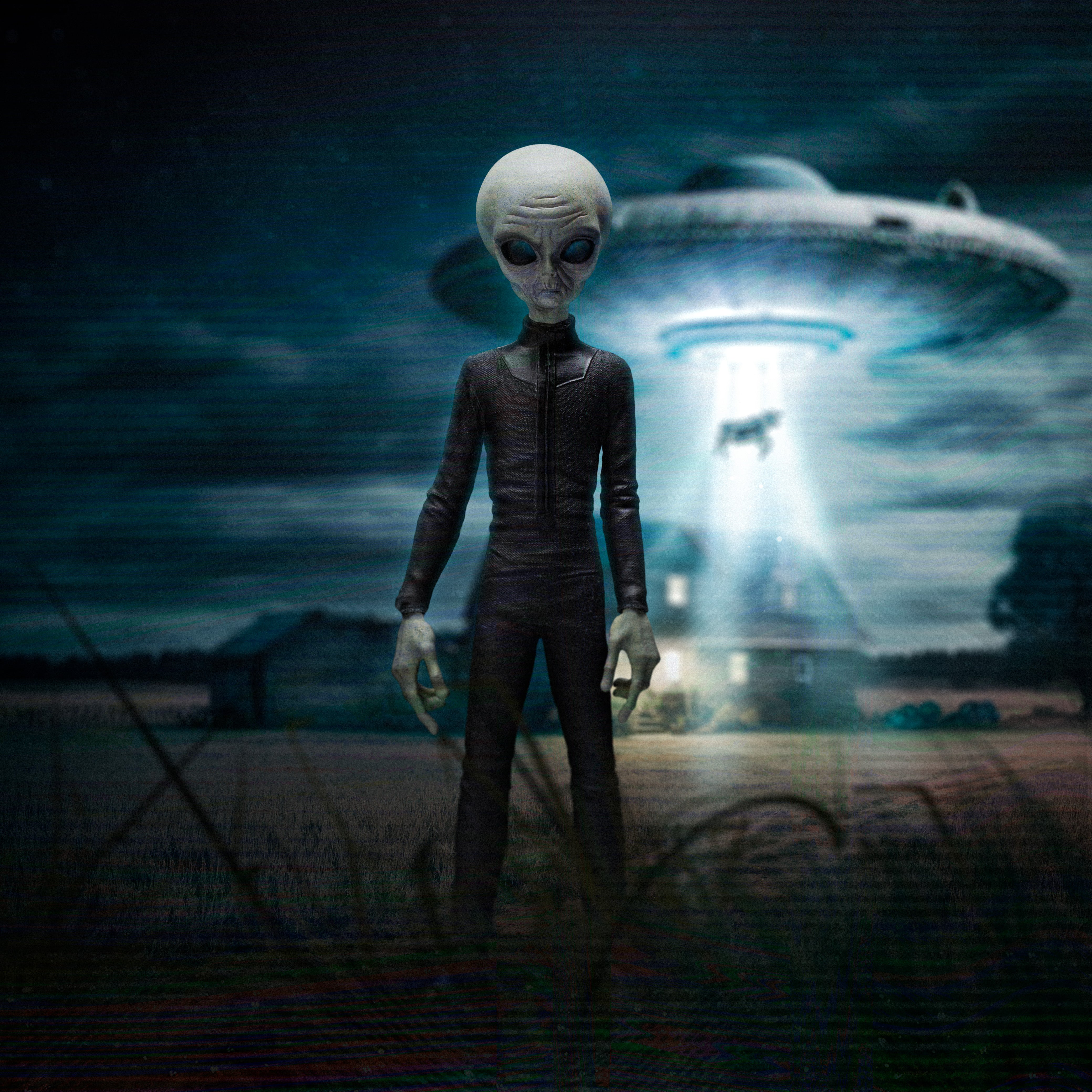 Iron Studios 1/10 Art Scale Limited Edition Grey Alien Statue - 'I Want to Believe'